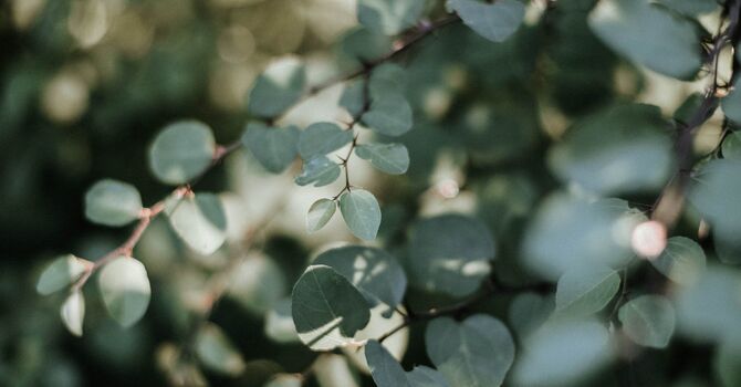 Manipulative therapy